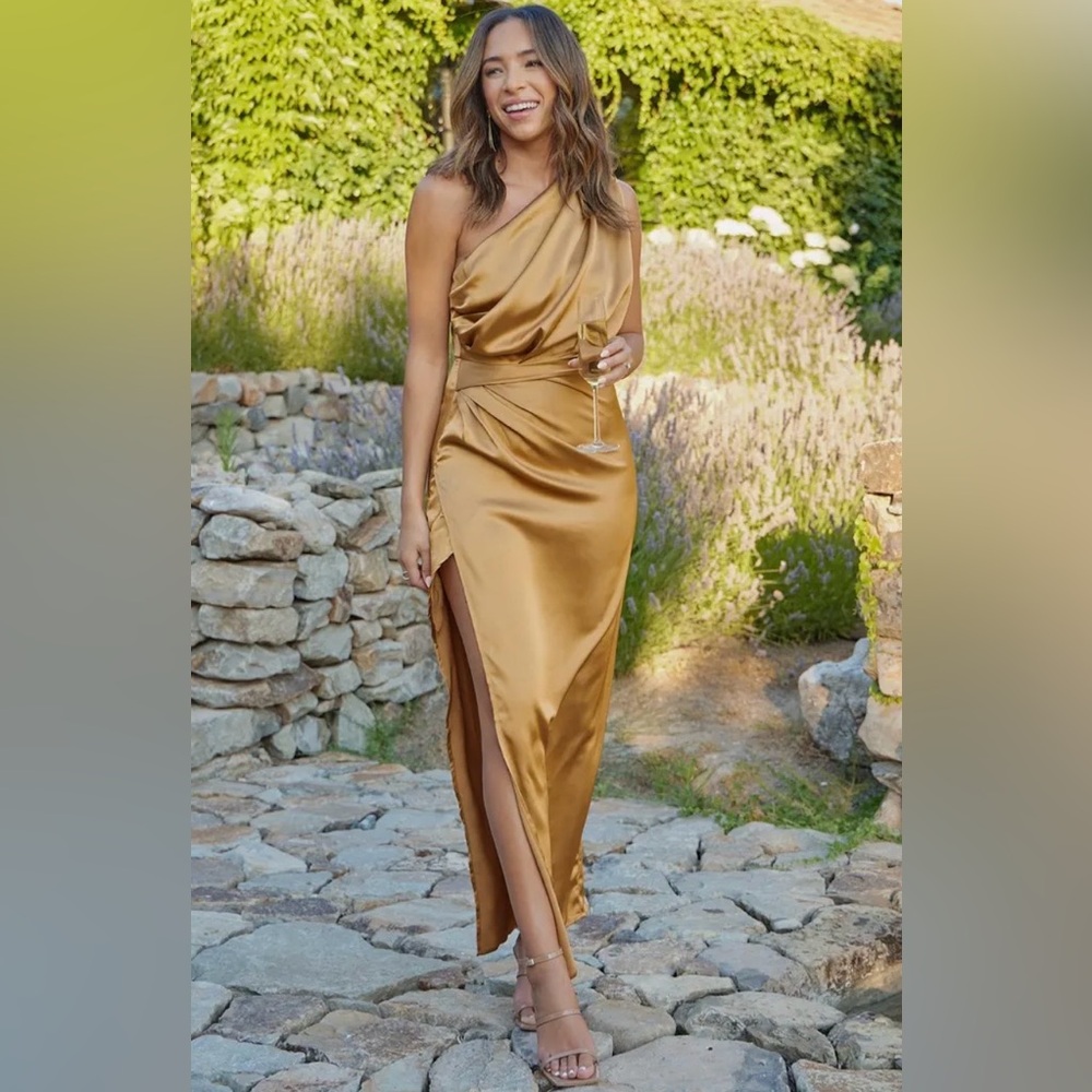 Petal & Pup One shoulder Bronze Satin Maxi Dress ✨NWT Sz 4